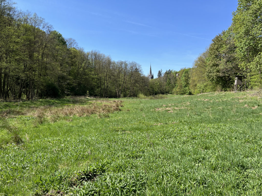 Eine idyllische und bergige Fläche, die mit grünem, hohem Gras bewachsen ist. In weiter Ferne ist eine Kirche auf einem Berg zu sehen.
