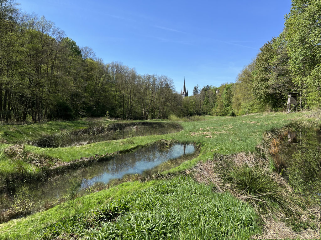 Auf der Visualisierung ist das Gelände mit zwei Wasserflächen durchsetzt.