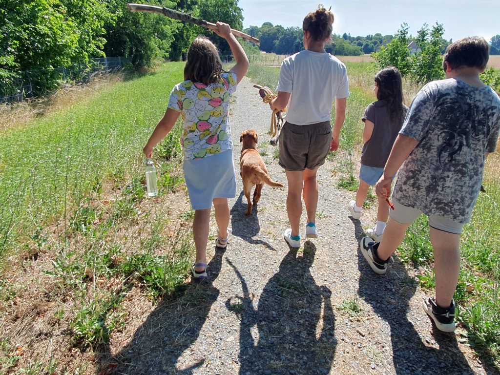 Die Schülerinnen und Schüler laufen gemeinsam mit der Hündin über einen Schotterweg.