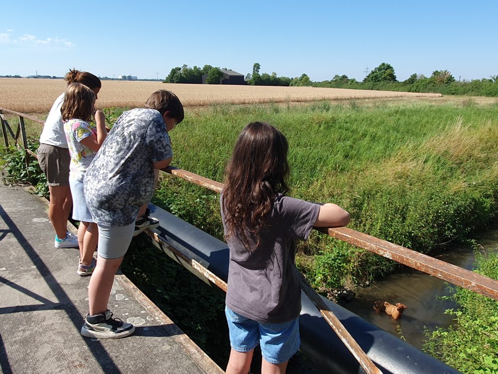 Von einer Brücke schauen die Schüler hinunter in den Bach.
