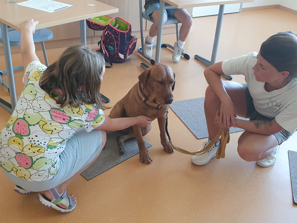 Ein Mädchen versucht vorsichtig, den Hund vorne an der Brust zu streicheln. Ein Junge hält ihn vorsichtig an der Leine.